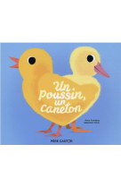 Un poussin, un caneton