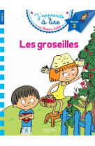 Sami et julie - les groseilles