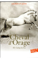 Cheval d-orage (tome 3)