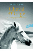 Cheval d-orage t2