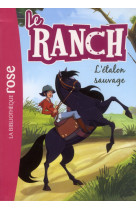 Le ranch 01 - l-etalon sauvage