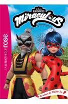 Miraculous - t37 - miraculous