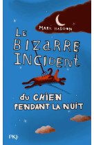 Le bizarre incident du chien p