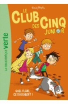 Le club des cinq junior 06 - q