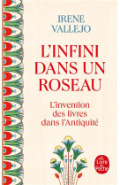 L-infini dans un roseau - l-in