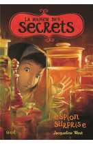 La maison des secrets tome 3 -