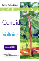 Candide