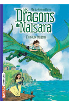 Les dragons de nalsara, tome 0