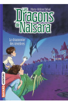 Les dragons de nalsara, tome 0