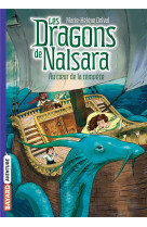 Les dragons de nalsara, tome 0