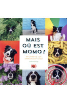 Mais ou est momo ?