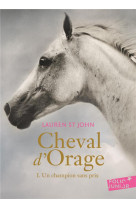 Cheval d-orage t1