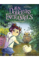 Aux douceurs enchantees - vol0