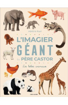 L-imagier geant du pere castor