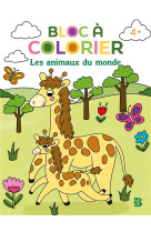 Bloc a colorier  - les animaux