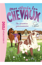 Mes amis les chevaux sophie th