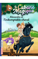 La cabane magique, tome 44 - a