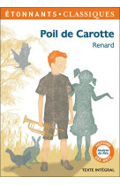 Poil de carotte