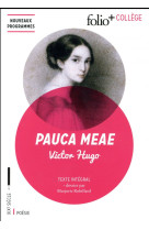 Pauca meae