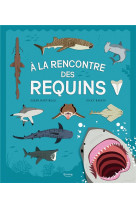 A la rencontre des requins