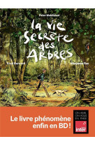 La vie secrete des arbres en b