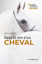 Dans la tete d-un cheval