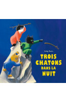 Trois chatons dans la nuit