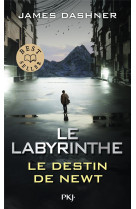 Le labyrinthe : le destin de n