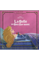 La belle au bois dormant - les