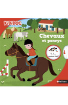 Les chevaux et les poneys