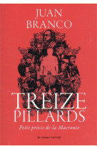 Treize pillards : petit precis de la macronie