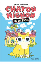 Chaton mignon - en action