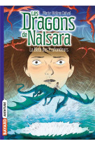 Les dragons de nalsara, tome 0