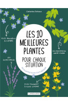 Les 10 meilleures plantes pour