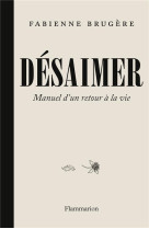 Desaimer - manuel d-un retour