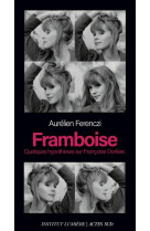 Framboise - quelques hypothese