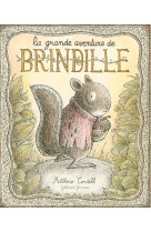 La grande aventure de brindill