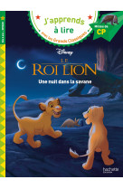 Disney - le roi lion - une nui