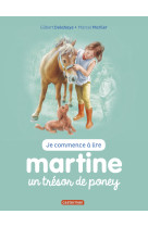 Martine un tresor de poney t2