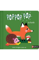 Pop pop pop : mon imagier pop-