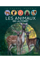 Les animaux de la forêt