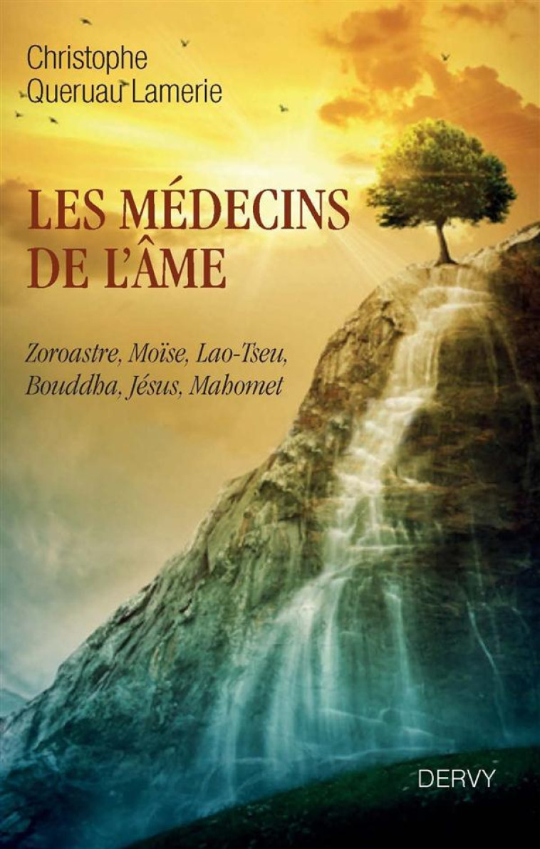 LES MEDECINS DE L-AME - QUERUAU LAMERIE C. - Dervy