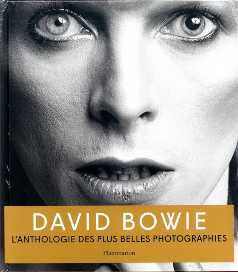 DAVID BOWIE - COLLECTIF - FLAMMARION