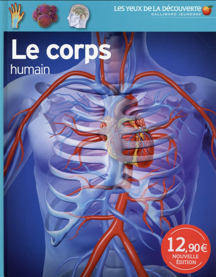 LE CORPS HUMAIN - WALKER RICHARD - Gallimard-Jeunesse