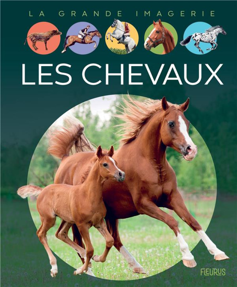 LES CHEVAUX - VANDEWIELE AGNES - FLEURUS