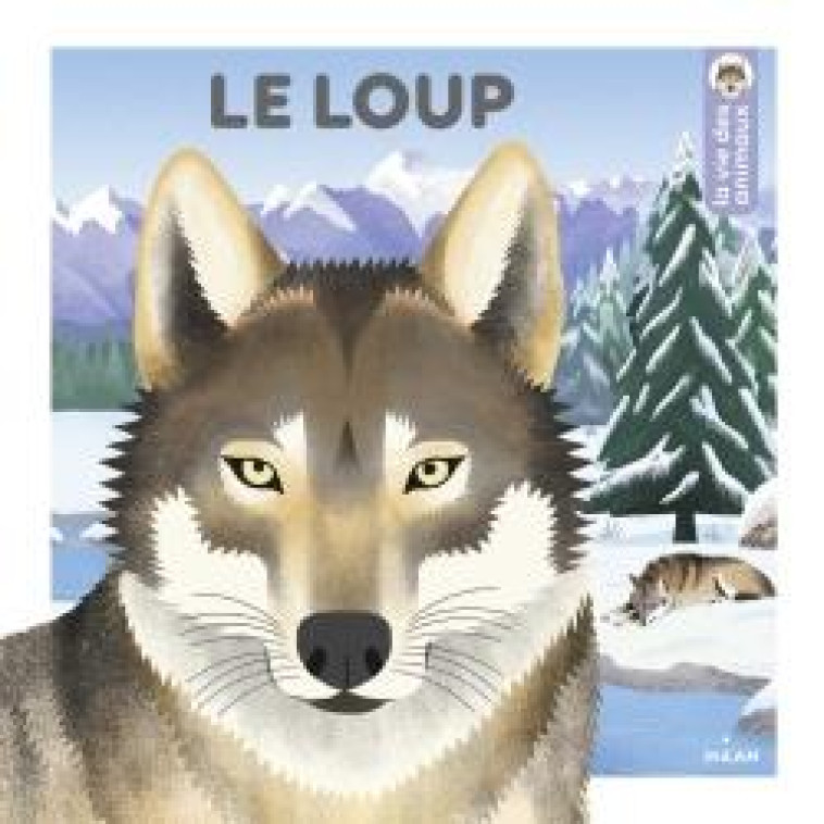 LE LOUP - FIGUERAS/NIKOL - BD Kids