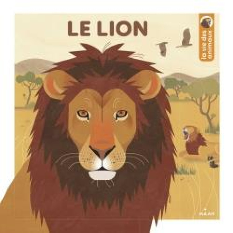 LE LION - OUSSET/ORZEL - BD Kids