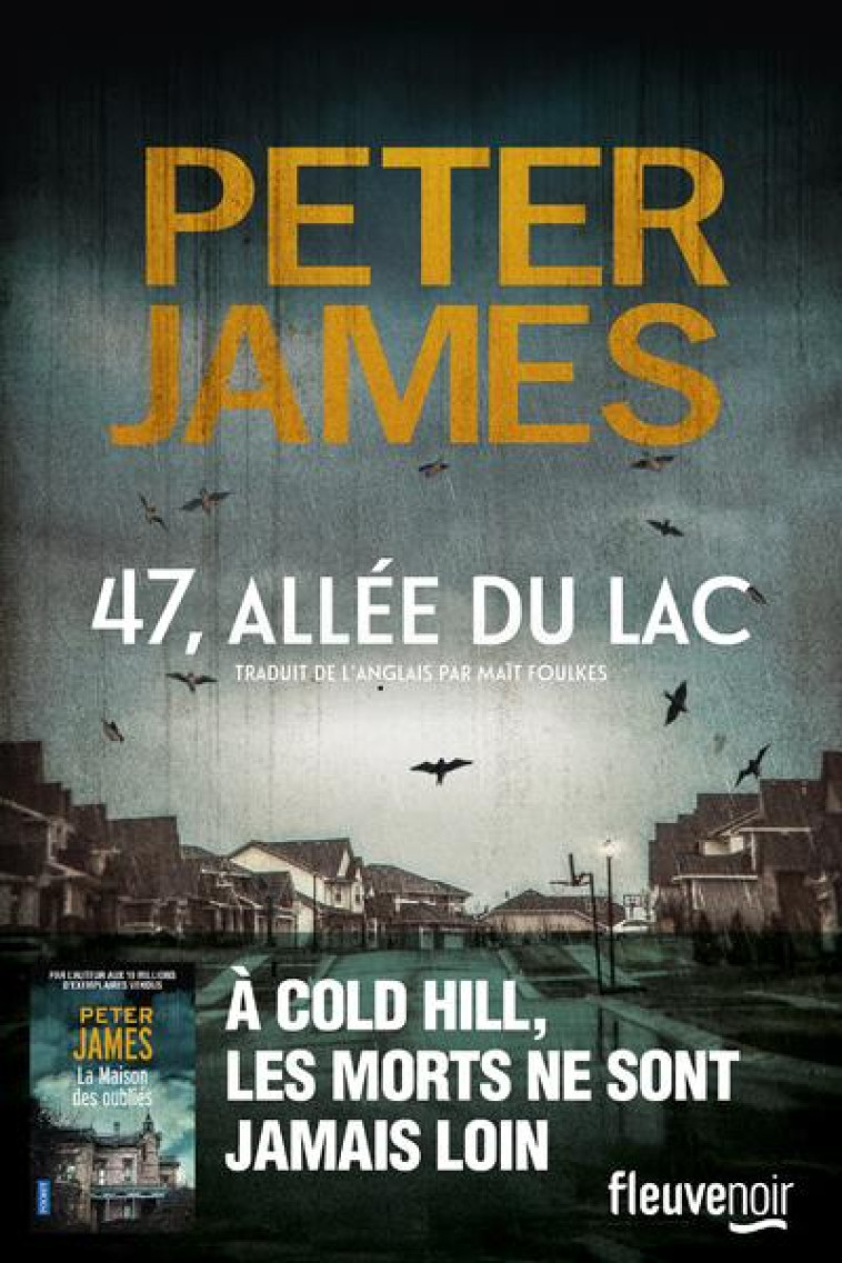 47 ALLEE DU LAC - JAMES PETER - FLEUVE NOIR