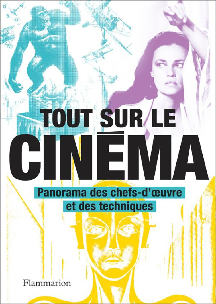 TOUT SUR LE CINEMA - PANORAMA - COLLECTIF - FLAMMARION