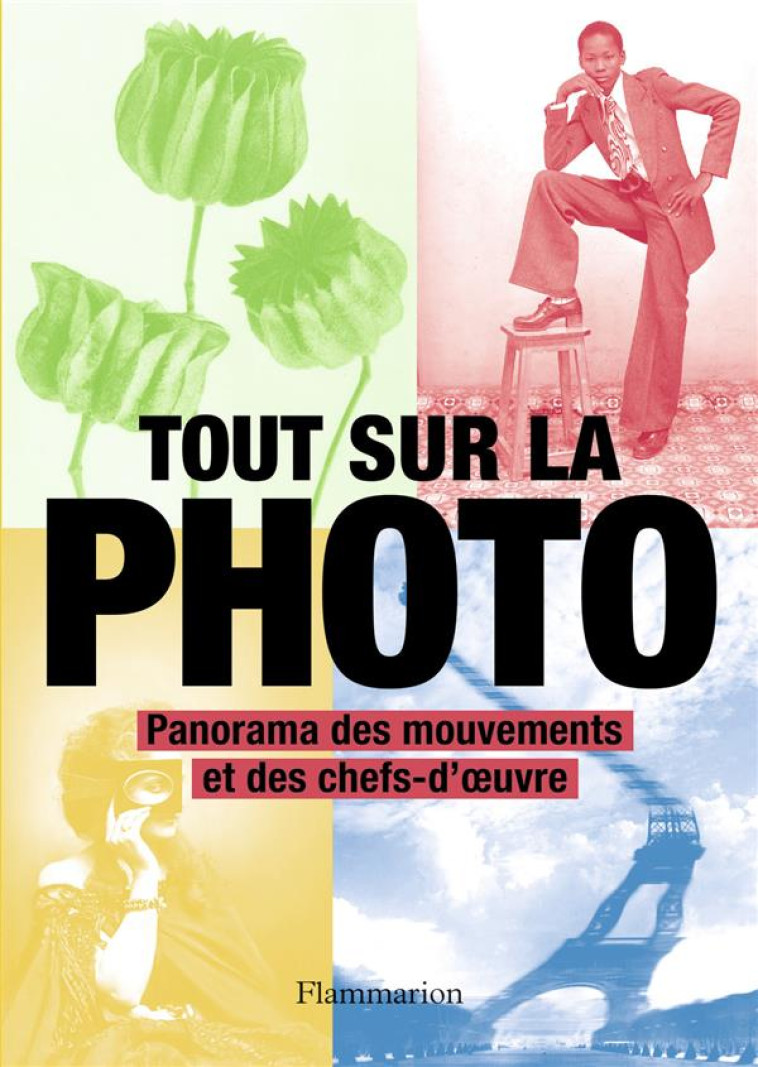 TOUT SUR LA PHOTO - PANORAMA D - COLLECTIF - FLAMMARION